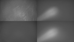 Sdružený snímek Bludný