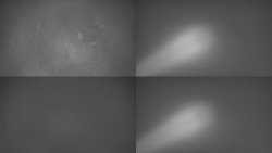 Sdružený snímek Bludný