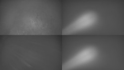 Sdružený snímek Bludný