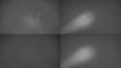 Sdružený snímek Bludný