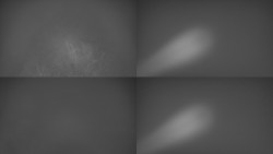 Sdružený snímek Bludný