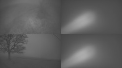 Sdružený snímek Bludný