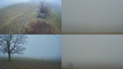 Sdružený snímek Bludný