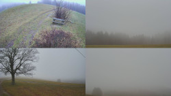 Sdružený snímek Bludný