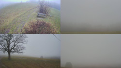 Sdružený snímek Bludný