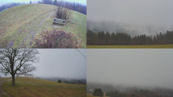 Sdružený snímek Bludný