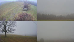 Sdružený snímek Bludný