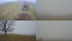 Sdružený snímek Bludný