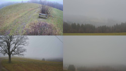 Sdružený snímek Bludný