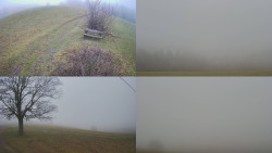 Sdružený snímek Bludný