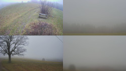 Sdružený snímek Bludný