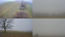 Sdružený snímek Bludný