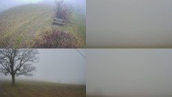 Sdružený snímek Bludný