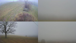 Sdružený snímek Bludný