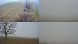 Sdružený snímek Bludný