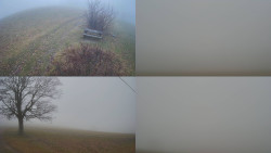 Sdružený snímek Bludný