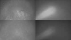 Sdružený snímek Bludný