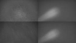 Sdružený snímek Bludný