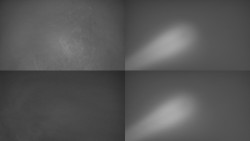 Sdružený snímek Bludný