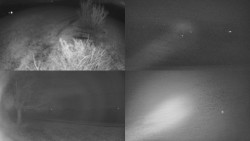 Sdružený snímek Bludný