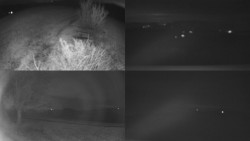 Sdružený snímek Bludný