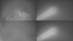 Sdružený snímek Bludný