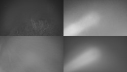 Sdružený snímek Bludný