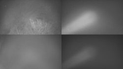 Sdružený snímek Bludný