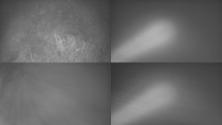 Sdružený snímek Bludný