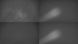 Sdružený snímek Bludný