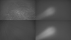 Sdružený snímek Bludný