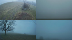 Sdružený snímek Bludný