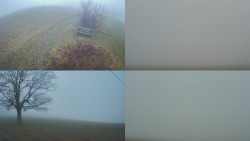 Sdružený snímek Bludný