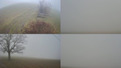 Sdružený snímek Bludný