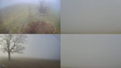 Sdružený snímek Bludný