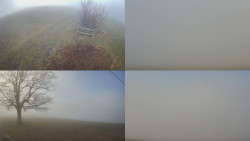 Sdružený snímek Bludný