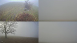 Sdružený snímek Bludný