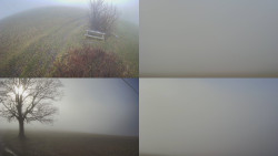 Sdružený snímek Bludný