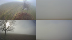 Sdružený snímek Bludný