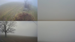 Sdružený snímek Bludný