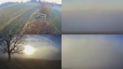 Sdružený snímek Bludný