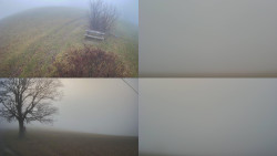 Sdružený snímek Bludný