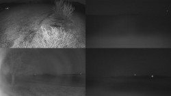 Sdružený snímek Bludný