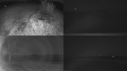 Sdružený snímek Bludný