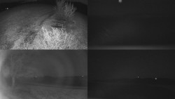 Sdružený snímek Bludný