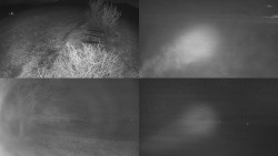 Sdružený snímek Bludný