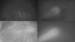 Sdružený snímek Bludný