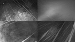 Sdružený snímek Bludný