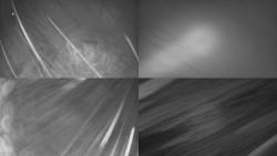 Sdružený snímek Bludný