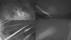 Sdružený snímek Bludný